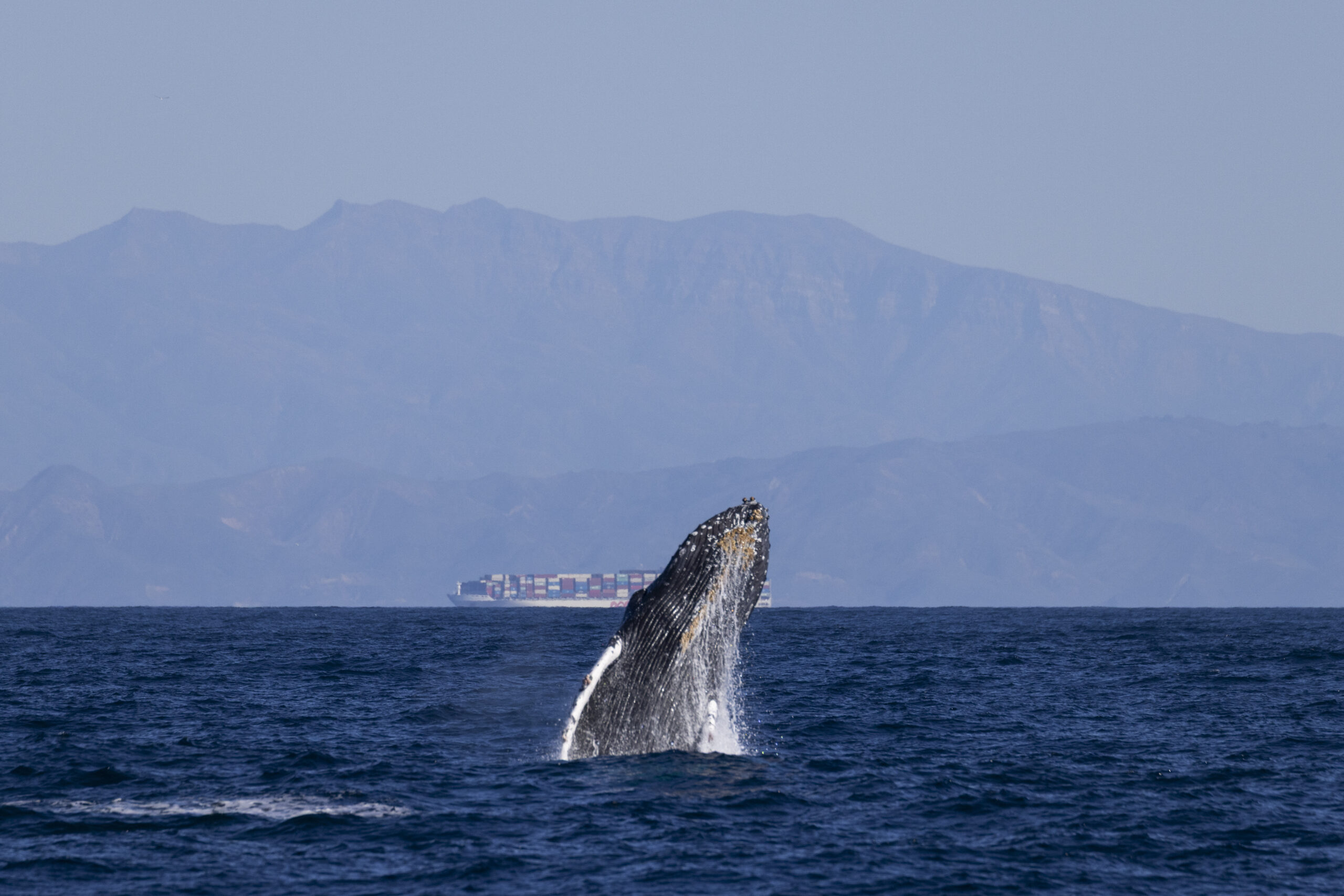 Expanded VSR Zone and Higher Award Tier Thresholds for Greater