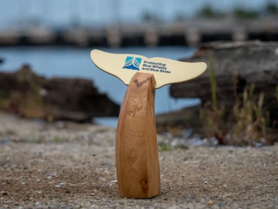 A wooden whale tail trophy with "Protecting Blue Whales and Blue Skies" text, outdoors by water.