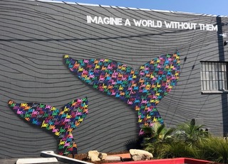Mural of whale tails outside Rincon Brewery