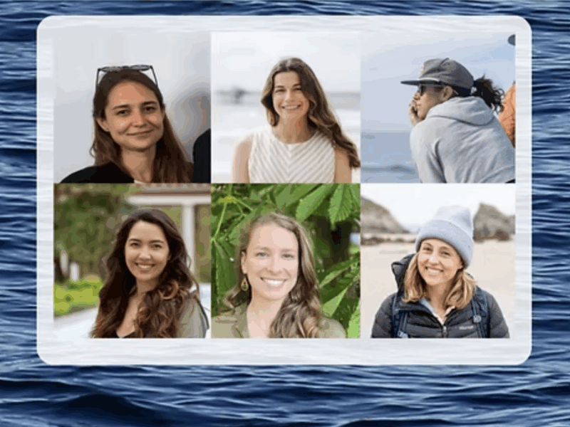 headshots of Jess Morten Vanessa ZoBell Becca Tucker Danielle Alvarez Anna Nisi and Rachel Rhodes