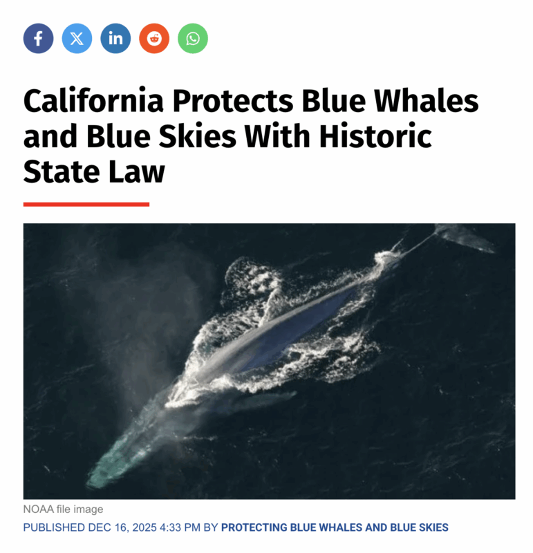 Headline image California Protects Blue Whales and Blue Skies with Historic State Law with image of blue whale swimming