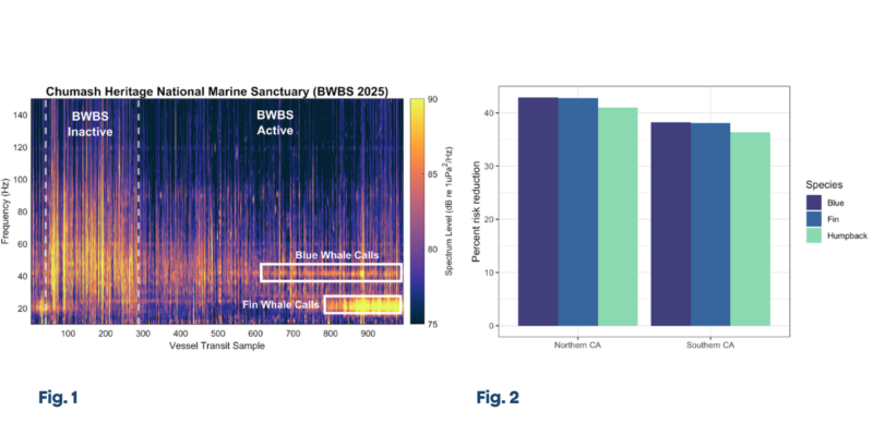 visual of noise reduction of program and fin and blue whale calls as well as visual of strike risk reduction to whales by specie