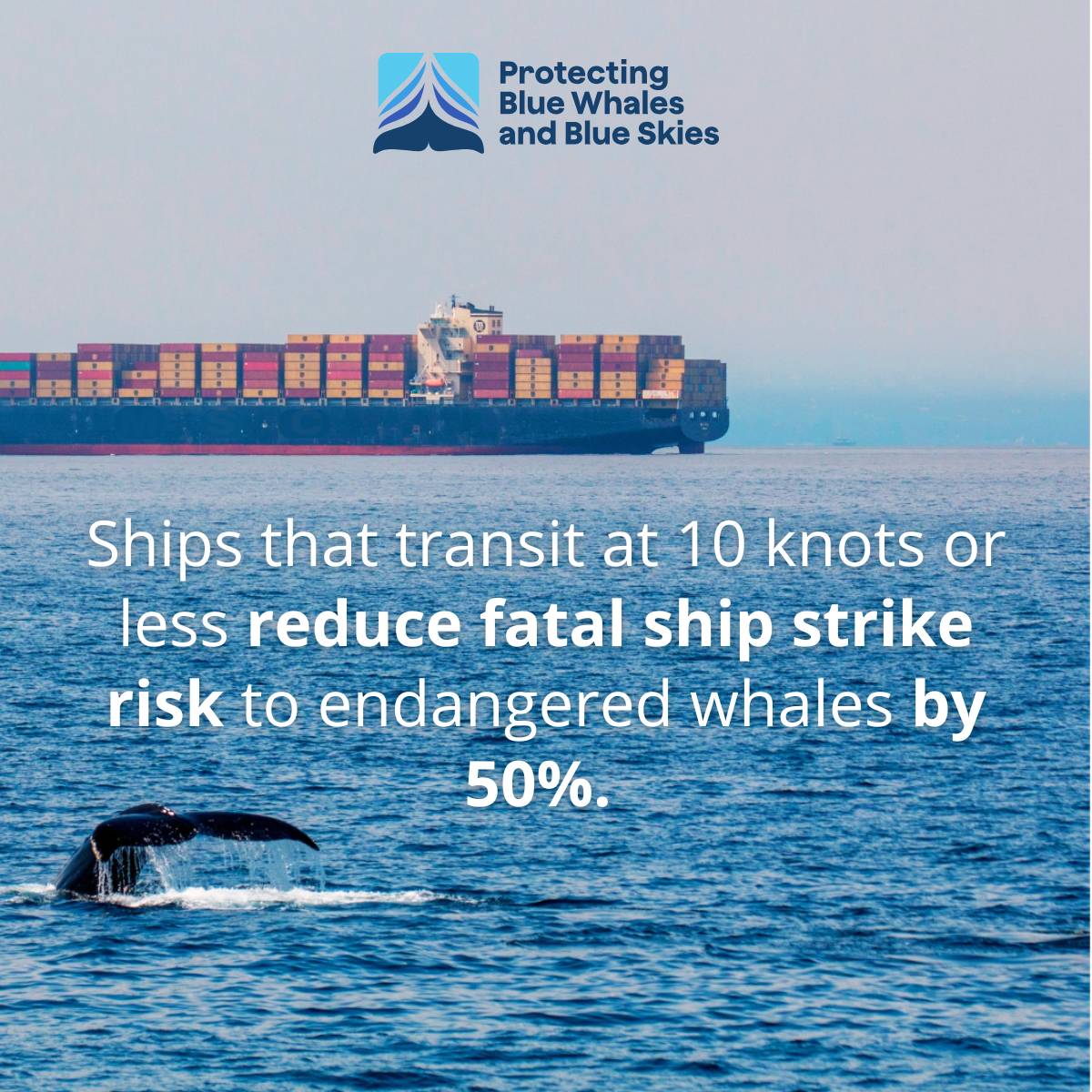 A whale’s tail above water with a cargo ship in the background and text about reducing ship strike risk.