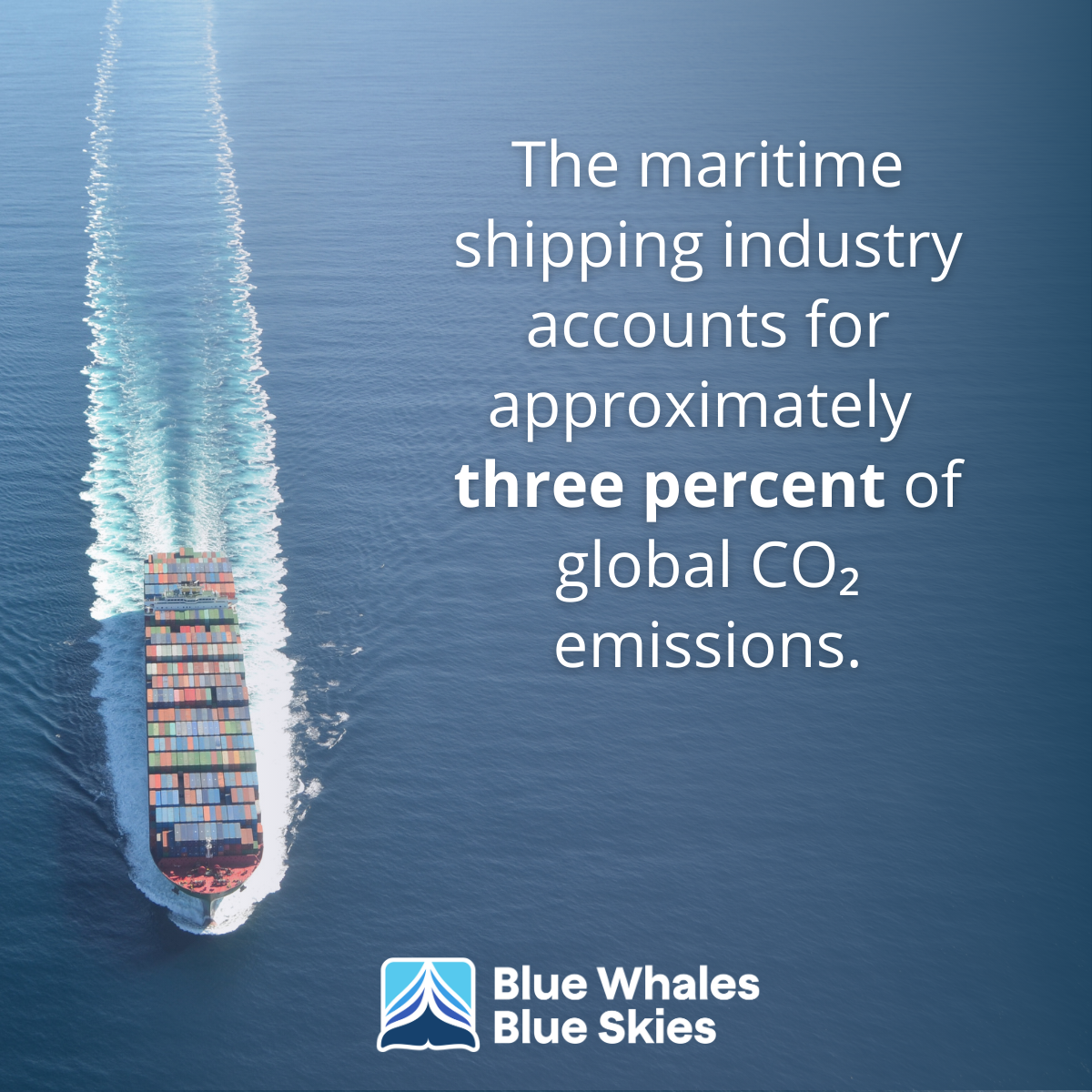 A cargo ship at sea with text about shipping causing 3% of global CO2 emissions; Blue Whales Blue Skies logo.