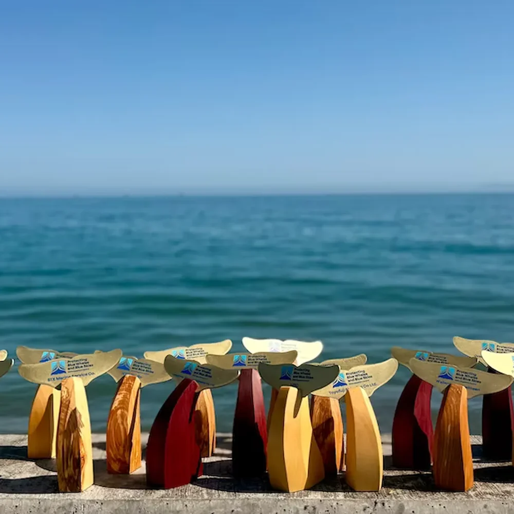 Wooden whale tail trophies lined up on a ledge with the ocean and blue sky in the background.