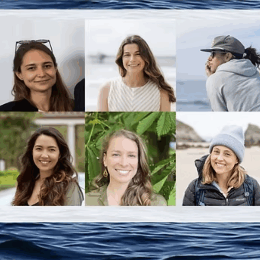 headshots of Jess Morten Vanessa ZoBell Becca Tucker Danielle Alvarez Anna Nisi and Rachel Rhodes