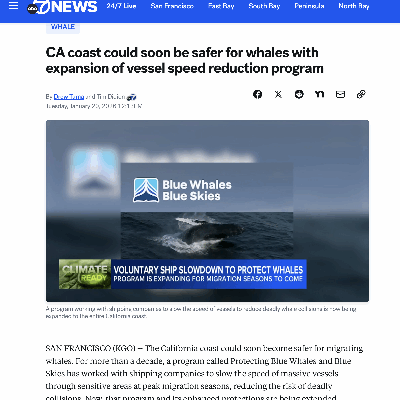 ABC 7 News video with Blue Whales and Blue Skies logo addressing expansion of vessel speed reduction program