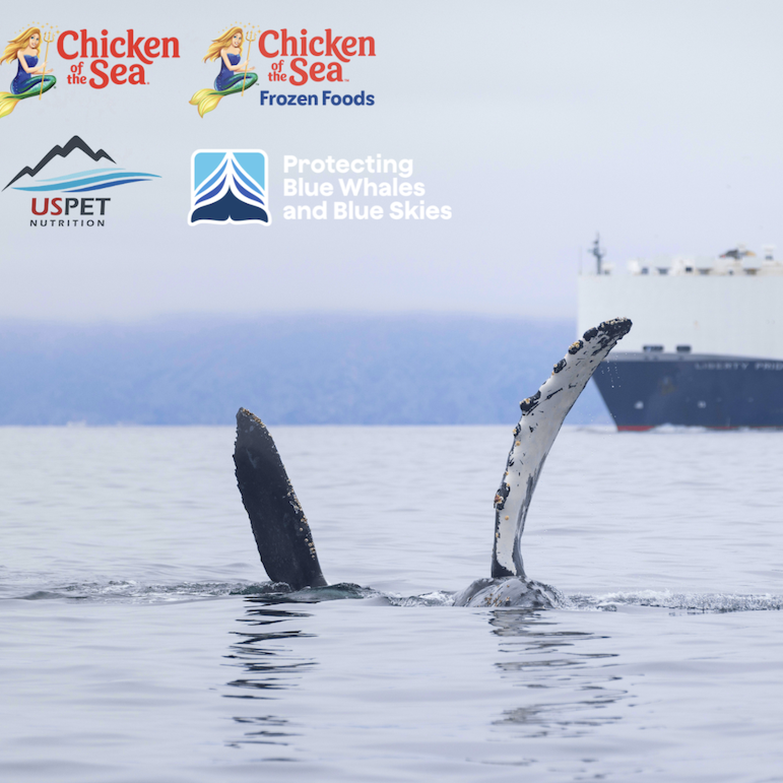 Screen Shot 2026-04-24 at 6.21.19 AM