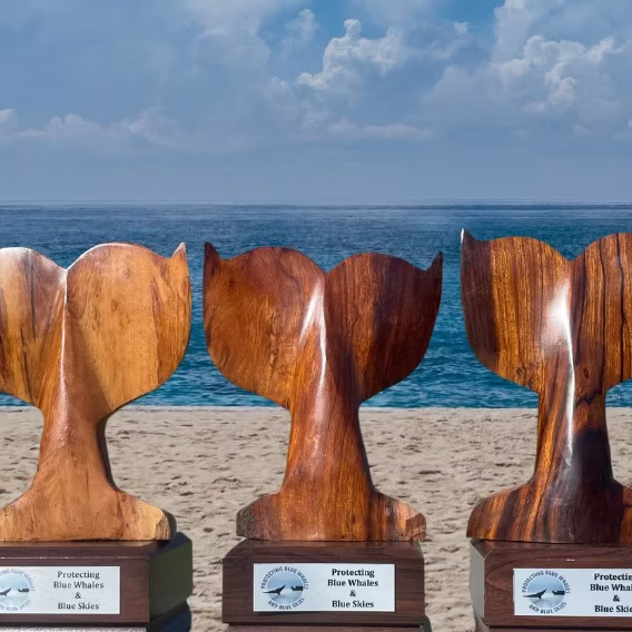 Untitled design (3)_edited-1 Five wooden trophies on a beach, with the ocean and sky in the background.