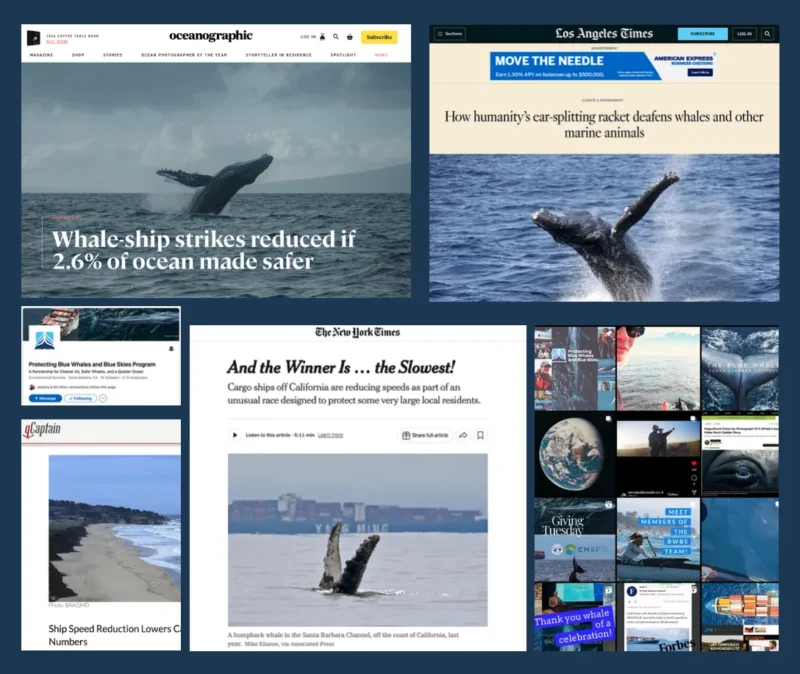 Collage of news articles and images focused on whales, ship strikes, and ocean conservation efforts.